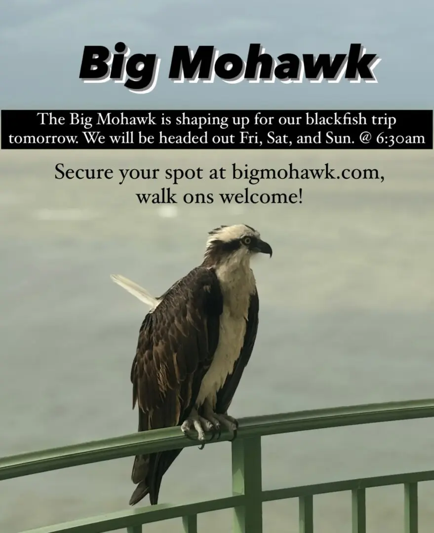 BIG Mohawk, Belmar N.J.